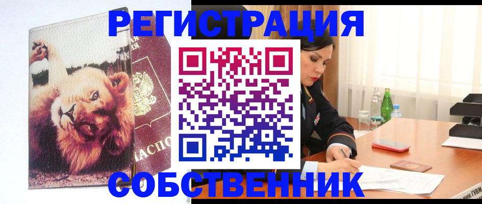 прописка от собственника в Липецке
